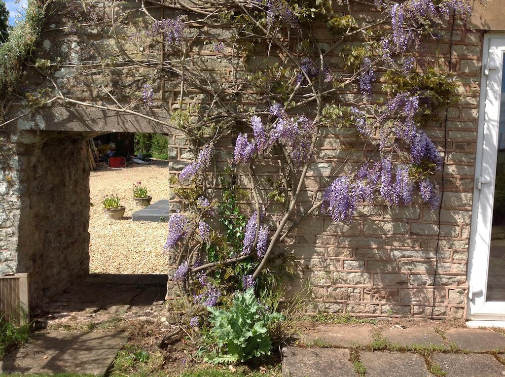 Bed and Breakfast The Coach House à Ross-on-Wye Extérieur photo
